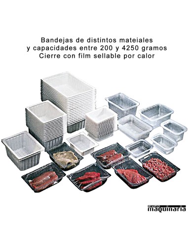 Envasadora al vacío de sobremesa RMS220MP