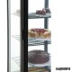 Vitrina frigorífica vertical detalle NIDP289 de 235 litros