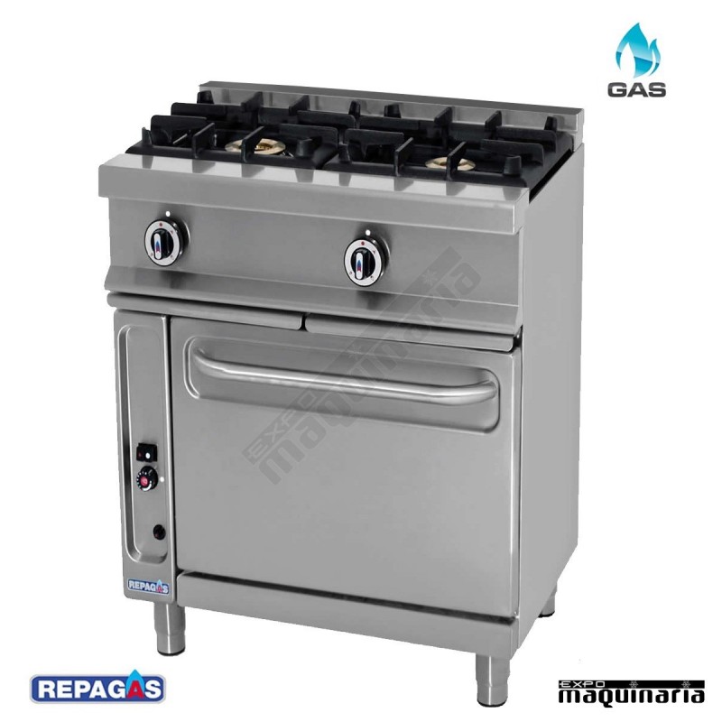 Cocina industrial a gas 2 fuegos con horno