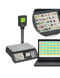 Balanza Comercial con ticket GRM4-15P 2