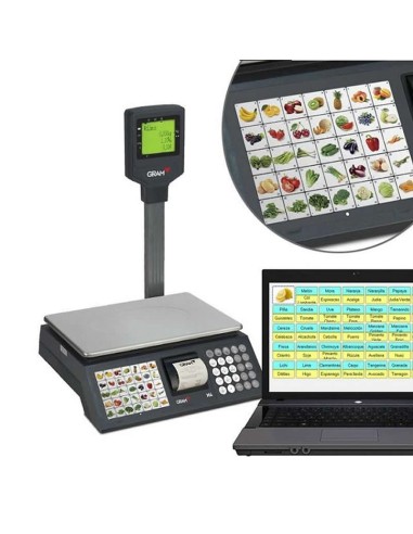 Balanza Comercial con ticket GRM4-15P
