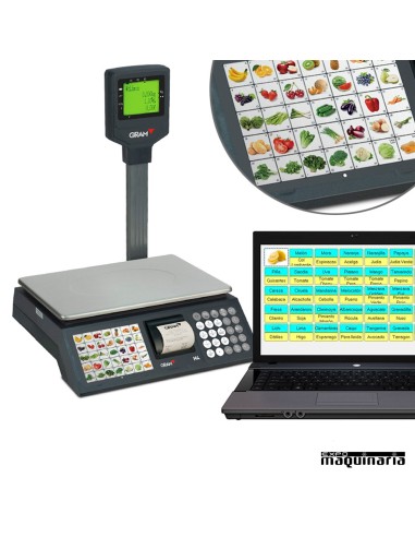 Balanza Comercial con ticket GRM4-15P con ordenador (no incluido)