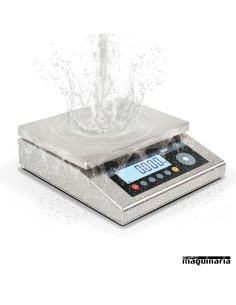 Balanza Industrial GRS5I-30 RS 2