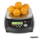 Balanza Industrial GRS3-RS pesando naranjas