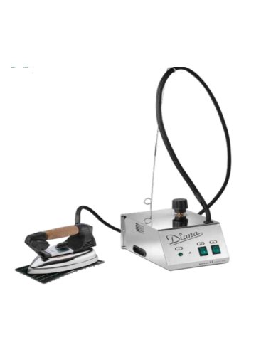 Generador de vapor semiprofesional BADIANA
