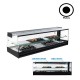 Vitrina refrigerada sushi Remota VGSHS-120EGR