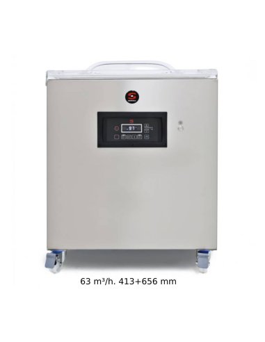 Envasadora al vacio carniceria de pie SCSE-606