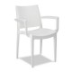 Sillones de terraza 2R163-3