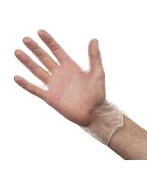 Guantes de vinilo Transparente NIY247