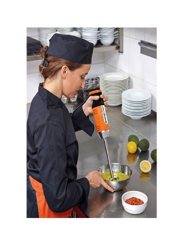 Batidora brazo profesional RODMX160-V2