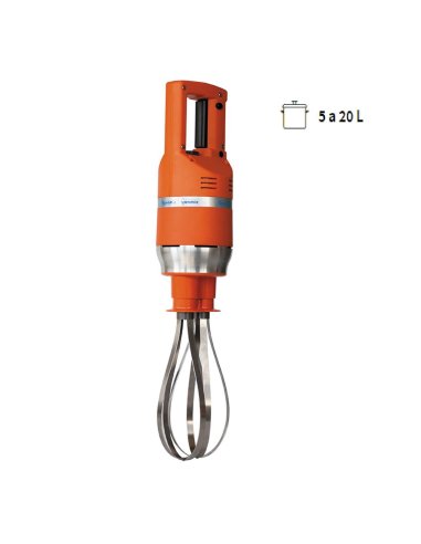 Batidora barillas 24,5cm ROMASTER-BAT