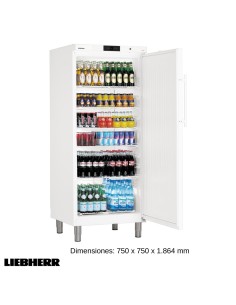 Arcon frigorifico vertical FGGKv 10