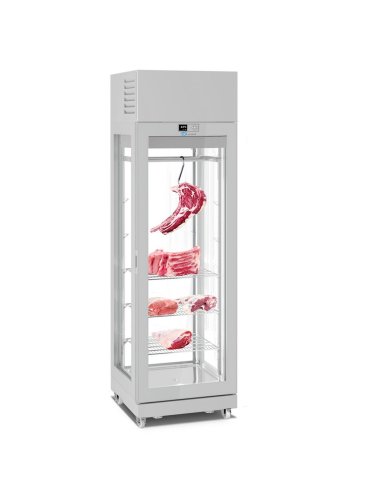 Armario de maduracion AMC6714XL Plata