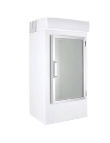 Almacen de hielo puerta cristal MFCABINGLASS 
