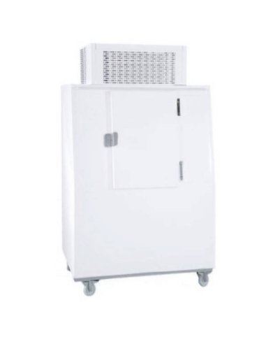 Almacen de hielo 300 bolsas 2kg MFCABIN1300