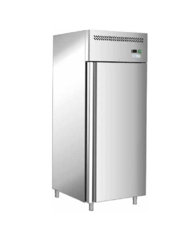 Congelador vertical hosteleria 650L DUG-GN650BT-FC