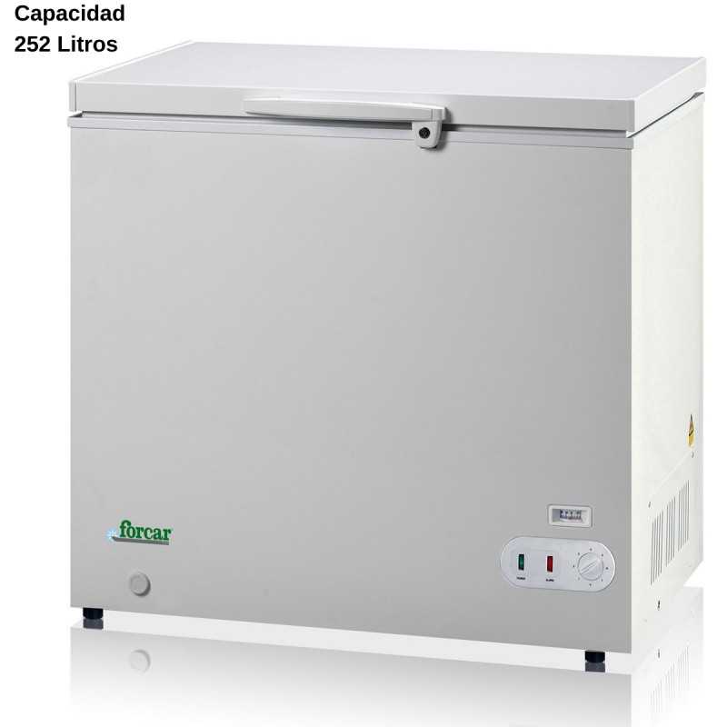 Arcon congelador hosteleria 252L DUG-BD305