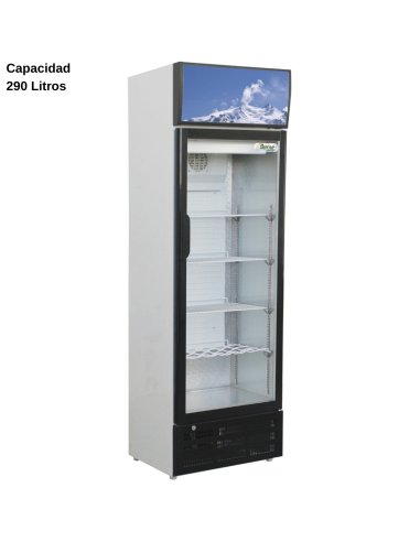 Nevera expositora de bebidas 290L DUG-SNACK290SC