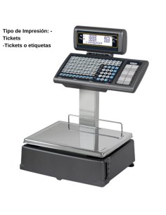 Balanza digital industrial 2 cuerpos CYPES11000007
