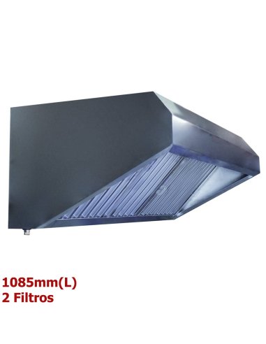 Campana extractora profesional 2 Filtros