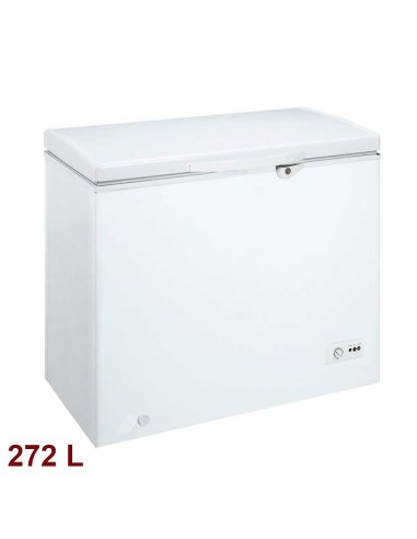 Arcon congelador hosteleria 282L EDNLF302AA