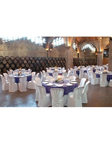 Silla catering conjunto RE Garrotxa