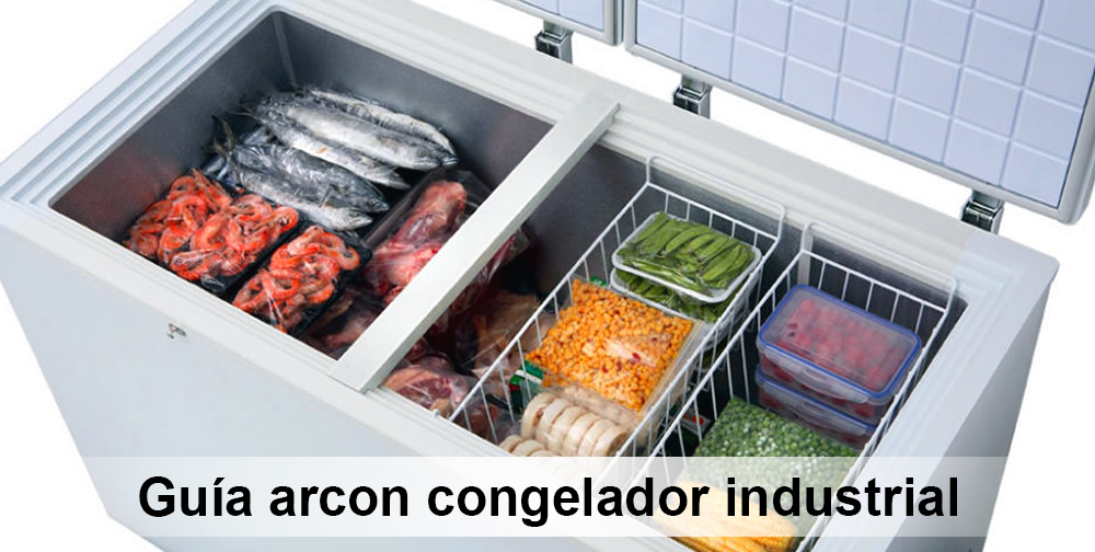 Guía de Arcon Congelador Industrial