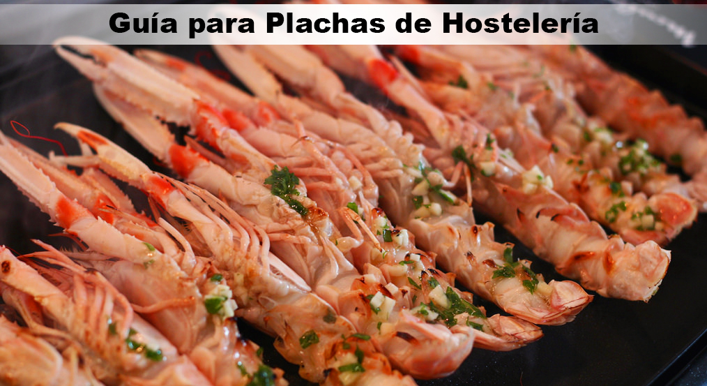 Guia Plancha Hosteleria