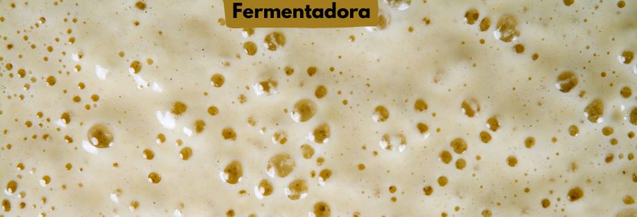 Fermentadora