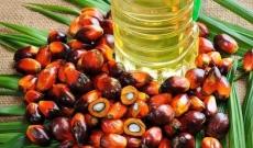 Se pide la retirada del aceite de palma