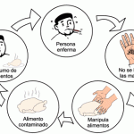 https://www.expomaquinaria.es/wpblog/wp-content/uploads/2014/12/manipulador-de-alimentos-150x150.gif