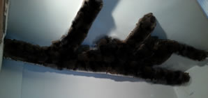 aislamiento de desagues